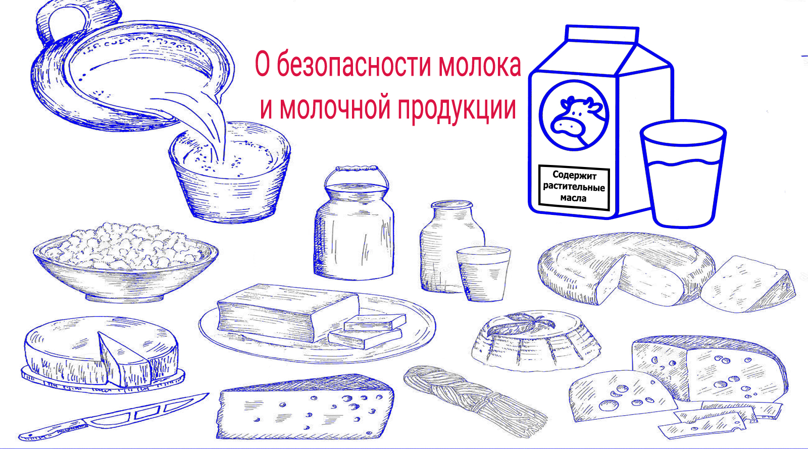 Рисунок молочных продуктов. Рисунки молочных продуктов. Рисунок молочной продукции. Пищевая безопасность молочных продуктов. Молочные продукты рисунок.