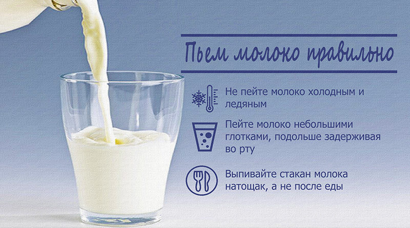 Что делают на тощак. Пьет молоко. Как правильно пить молоко. Что можно пить с молоком. День молока.